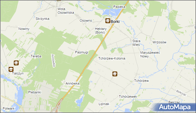 mapa Tchórzew-Kolonia, Tchórzew-Kolonia na mapie Targeo