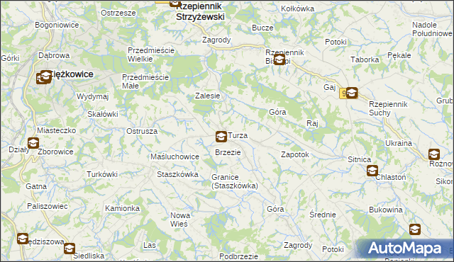 mapa Turza gmina Rzepiennik Strzyżewski, Turza gmina Rzepiennik Strzyżewski na mapie Targeo