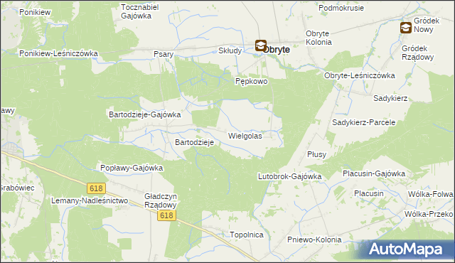 mapa Wielgolas gmina Obryte, Wielgolas gmina Obryte na mapie Targeo
