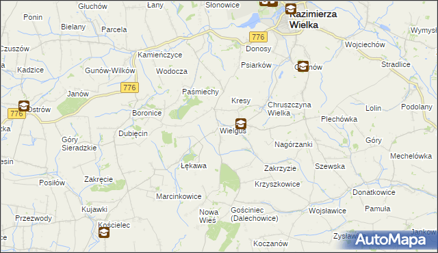 mapa Wielgus, Wielgus na mapie Targeo