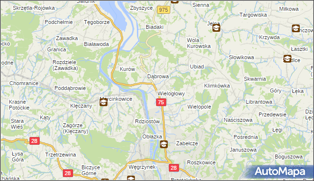 mapa Wielogłowy gmina Chełmiec, Wielogłowy gmina Chełmiec na mapie Targeo