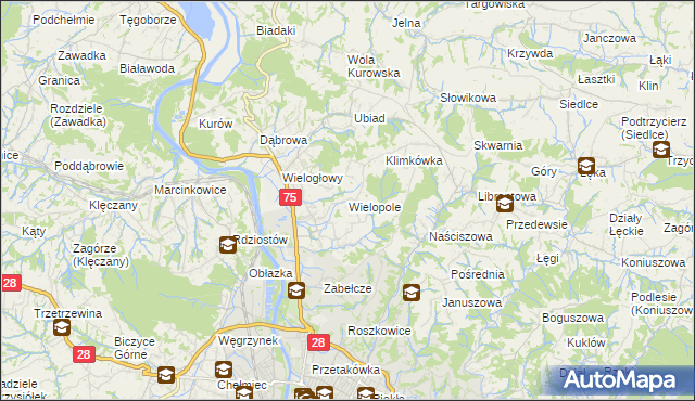 mapa Wielopole gmina Chełmiec, Wielopole gmina Chełmiec na mapie Targeo