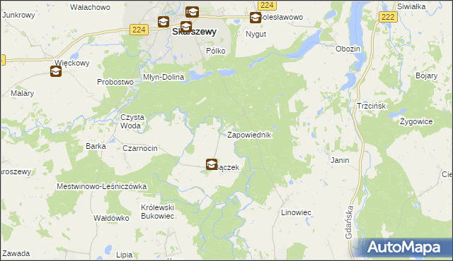 mapa Zapowiednik gmina Skarszewy, Zapowiednik gmina Skarszewy na mapie Targeo