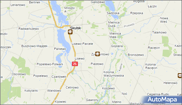 mapa Zygmuntowo gmina Skulsk, Zygmuntowo gmina Skulsk na mapie Targeo