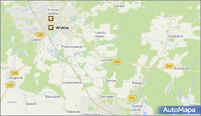 mapa Lipnica gmina Wołów, Lipnica gmina Wołów na mapie Targeo