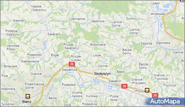 mapa Lisów gmina Skołyszyn, Lisów gmina Skołyszyn na mapie Targeo