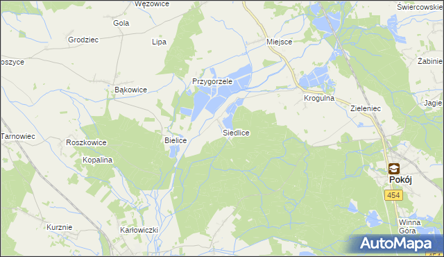 mapa Siedlice gmina Pokój, Siedlice gmina Pokój na mapie Targeo