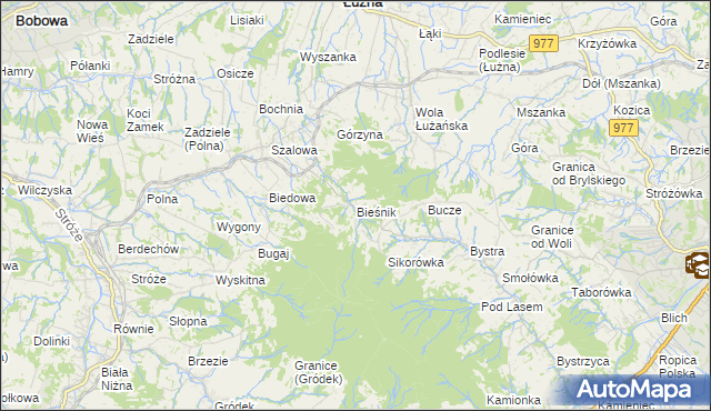 mapa Bieśnik gmina Łużna, Bieśnik gmina Łużna na mapie Targeo