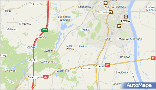 mapa Śliwiny gmina Tczew, Śliwiny gmina Tczew na mapie Targeo