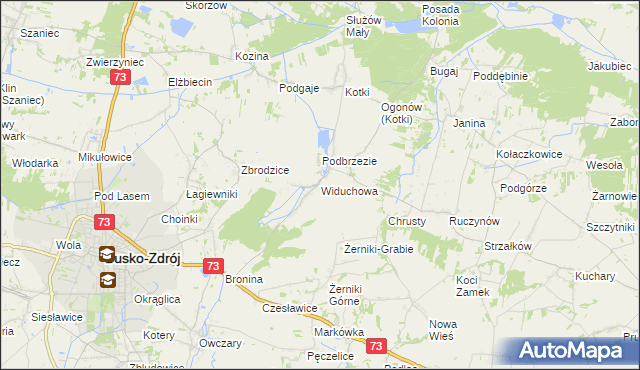 mapa Widuchowa gmina Busko-Zdrój, Widuchowa gmina Busko-Zdrój na mapie Targeo