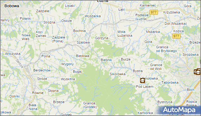 mapa Bieśnik gmina Łużna, Bieśnik gmina Łużna na mapie Targeo
