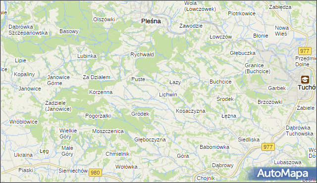 mapa Lichwin gmina Pleśna, Lichwin gmina Pleśna na mapie Targeo