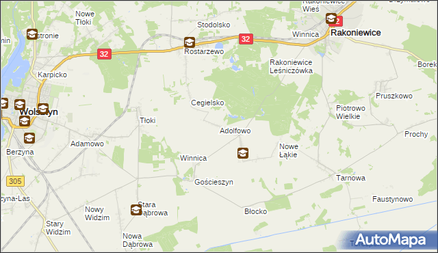 mapa Adolfowo gmina Rakoniewice, Adolfowo gmina Rakoniewice na mapie Targeo