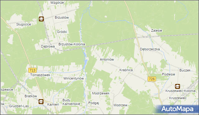 mapa Antoniów gmina Opoczno, Antoniów gmina Opoczno na mapie Targeo