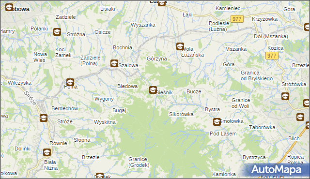 mapa Bieśnik gmina Łużna, Bieśnik gmina Łużna na mapie Targeo