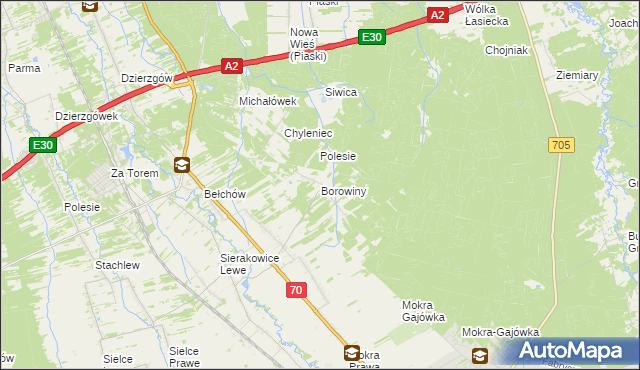 mapa Borowiny gmina Skierniewice, Borowiny gmina Skierniewice na mapie Targeo