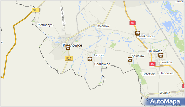 mapa Borucin gmina Krzanowice, Borucin gmina Krzanowice na mapie Targeo