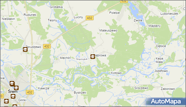 mapa Dąbrowa gmina Śrem, Dąbrowa gmina Śrem na mapie Targeo