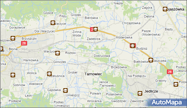 mapa Dobrucowa, Dobrucowa na mapie Targeo