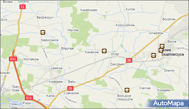 mapa Fabianów gmina Nowe Skalmierzyce, Fabianów gmina Nowe Skalmierzyce na mapie Targeo