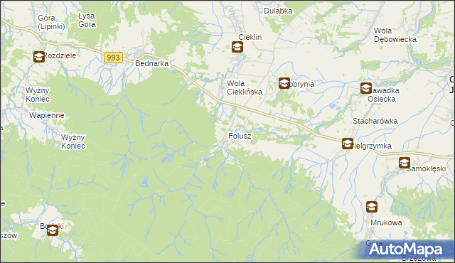 mapa Folusz gmina Dębowiec, Folusz gmina Dębowiec na mapie Targeo