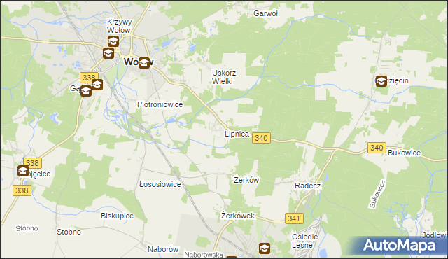 mapa Lipnica gmina Wołów, Lipnica gmina Wołów na mapie Targeo