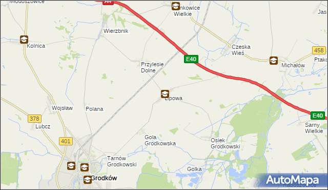 mapa Lipowa gmina Grodków, Lipowa gmina Grodków na mapie Targeo