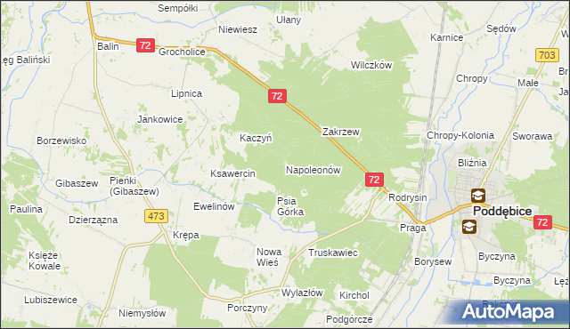mapa Napoleonów gmina Poddębice, Napoleonów gmina Poddębice na mapie Targeo