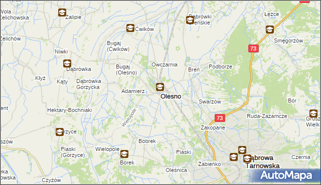 mapa Olesno powiat dąbrowski, Olesno powiat dąbrowski na mapie Targeo