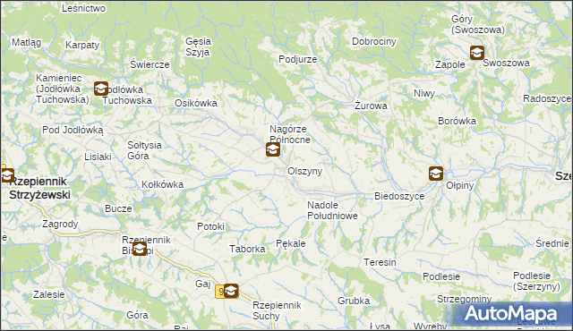 mapa Olszyny gmina Rzepiennik Strzyżewski, Olszyny gmina Rzepiennik Strzyżewski na mapie Targeo