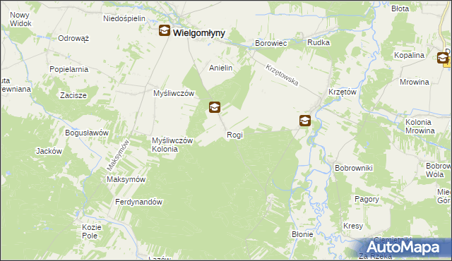 mapa Rogi gmina Wielgomłyny, Rogi gmina Wielgomłyny na mapie Targeo