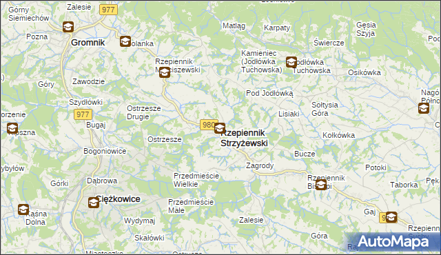 mapa Rzepiennik Strzyżewski, Rzepiennik Strzyżewski na mapie Targeo