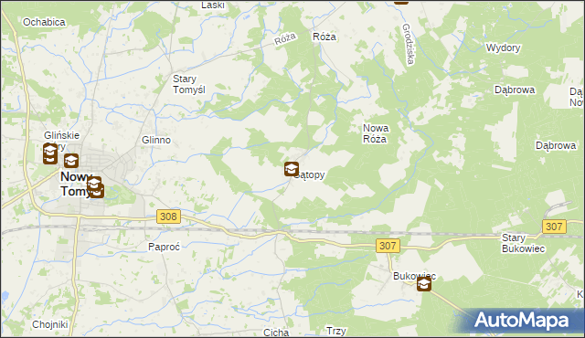 mapa Sątopy gmina Nowy Tomyśl, Sątopy gmina Nowy Tomyśl na mapie Targeo