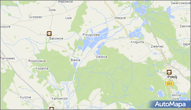 mapa Siedlice gmina Pokój, Siedlice gmina Pokój na mapie Targeo