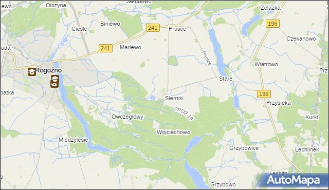 mapa Sierniki gmina Rogoźno, Sierniki gmina Rogoźno na mapie Targeo
