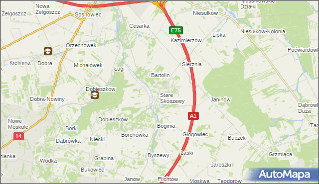 mapa Stare Skoszewy, Stare Skoszewy na mapie Targeo