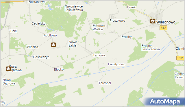 mapa Tarnowa gmina Rakoniewice, Tarnowa gmina Rakoniewice na mapie Targeo