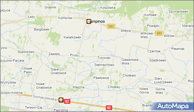 mapa Trzciniec gmina Leszno, Trzciniec gmina Leszno na mapie Targeo