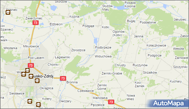 mapa Widuchowa gmina Busko-Zdrój, Widuchowa gmina Busko-Zdrój na mapie Targeo