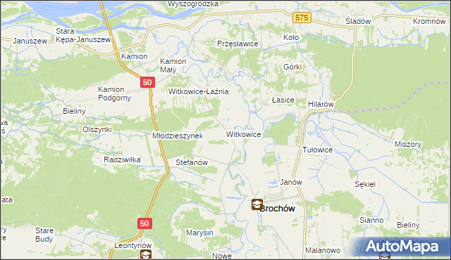 mapa Witkowice gmina Młodzieszyn, Witkowice gmina Młodzieszyn na mapie Targeo