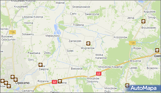 mapa Wygnanów gmina Opoczno, Wygnanów gmina Opoczno na mapie Targeo