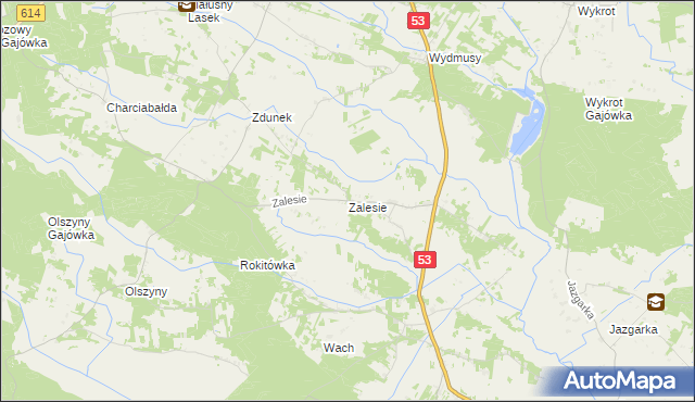 mapa Zalesie gmina Myszyniec, Zalesie gmina Myszyniec na mapie Targeo