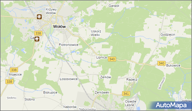 mapa Lipnica gmina Wołów, Lipnica gmina Wołów na mapie Targeo