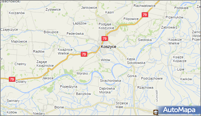 mapa Witów gmina Koszyce, Witów gmina Koszyce na mapie Targeo