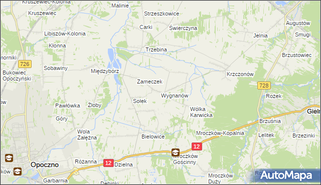 mapa Wygnanów gmina Opoczno, Wygnanów gmina Opoczno na mapie Targeo