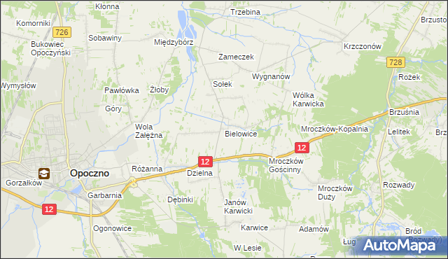 mapa Bielowice gmina Opoczno, Bielowice gmina Opoczno na mapie Targeo
