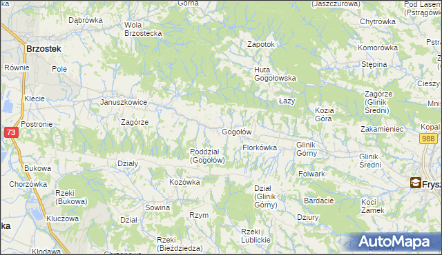 mapa Gogołów gmina Frysztak, Gogołów gmina Frysztak na mapie Targeo