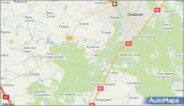 mapa Lipa gmina Gostynin, Lipa gmina Gostynin na mapie Targeo