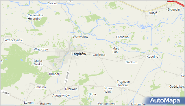 mapa Oleśnica gmina Zagórów, Oleśnica gmina Zagórów na mapie Targeo