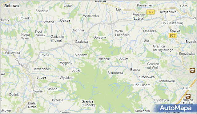 mapa Bieśnik gmina Łużna, Bieśnik gmina Łużna na mapie Targeo